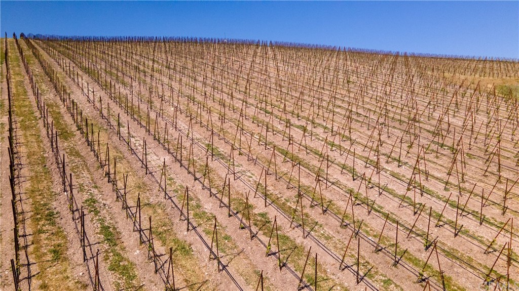 2380 Live Oak Road Paso Robles, CA 93446 - Photo 15 of 20