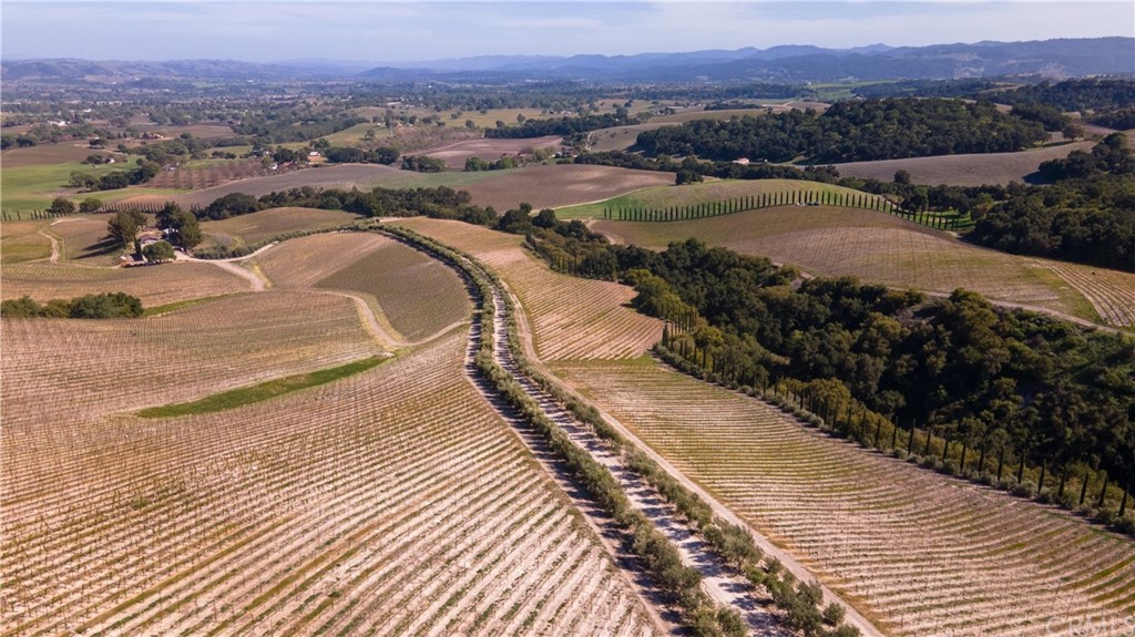 2380 Live Oak Road Paso Robles, CA 93446 - Photo 16 of 20 a view of a street with a ocean view