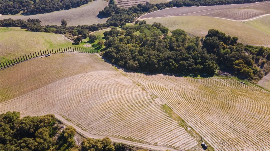 2380 Live Oak Road Paso Robles, CA 93446 - Photo 7 of 20 a view of a backyard of the house