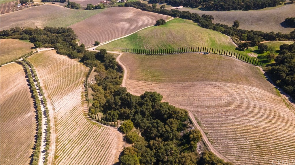 2380 Live Oak Road Paso Robles, CA 93446 - Photo 8 of 20 a view of a swimming pool