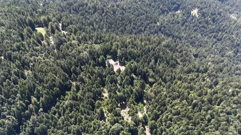 $325,000 | 39000 Brush Creek Road, Manchester, CA 95459