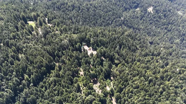 $325,000 | 39000 Brush Creek Road, Manchester, CA 95459