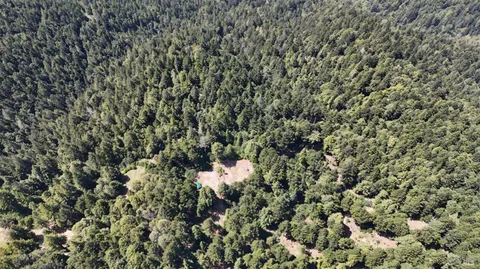 $325,000 | 39000 Brush Creek Road, Manchester, CA 95459