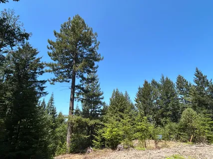 $325,000 | 39000 Brush Creek Road, Manchester, CA 95459