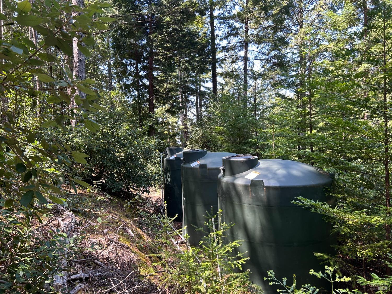 39000 Brush Creek Road Manchester, CA 95459 - Photo 17 of 18