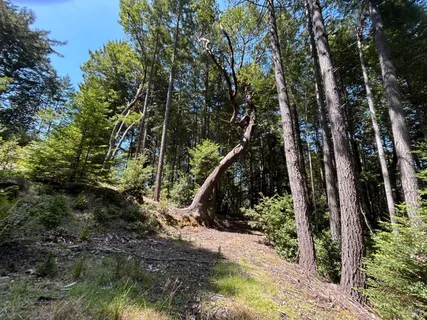 $325,000 | 39000 Brush Creek Road, Manchester, CA 95459