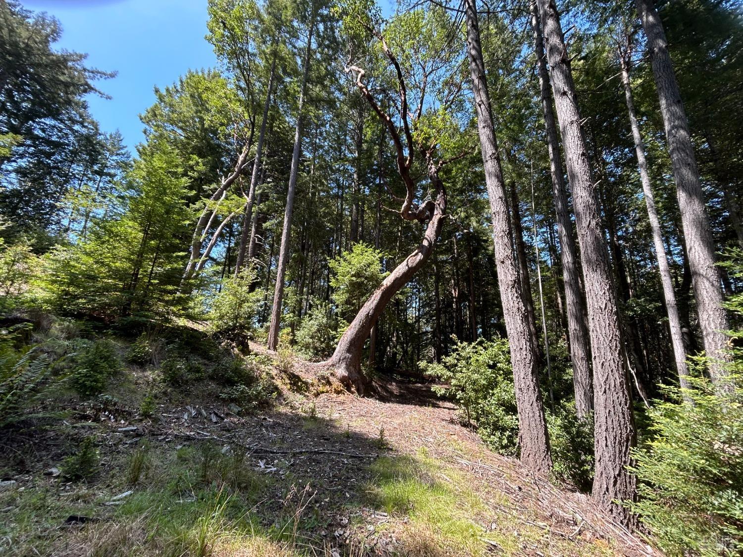 39000 Brush Creek Road Manchester, CA 95459 - Photo 18 of 18