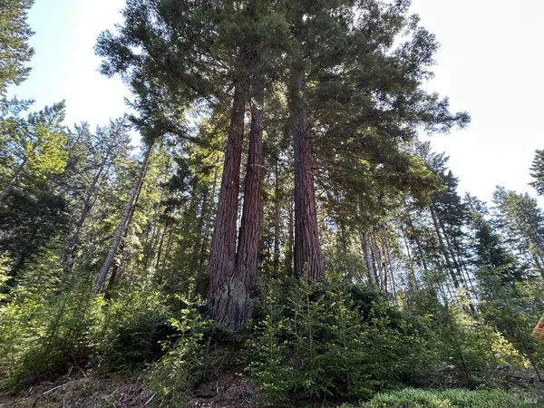 $325,000 | 39000 Brush Creek Road, Manchester, CA 95459