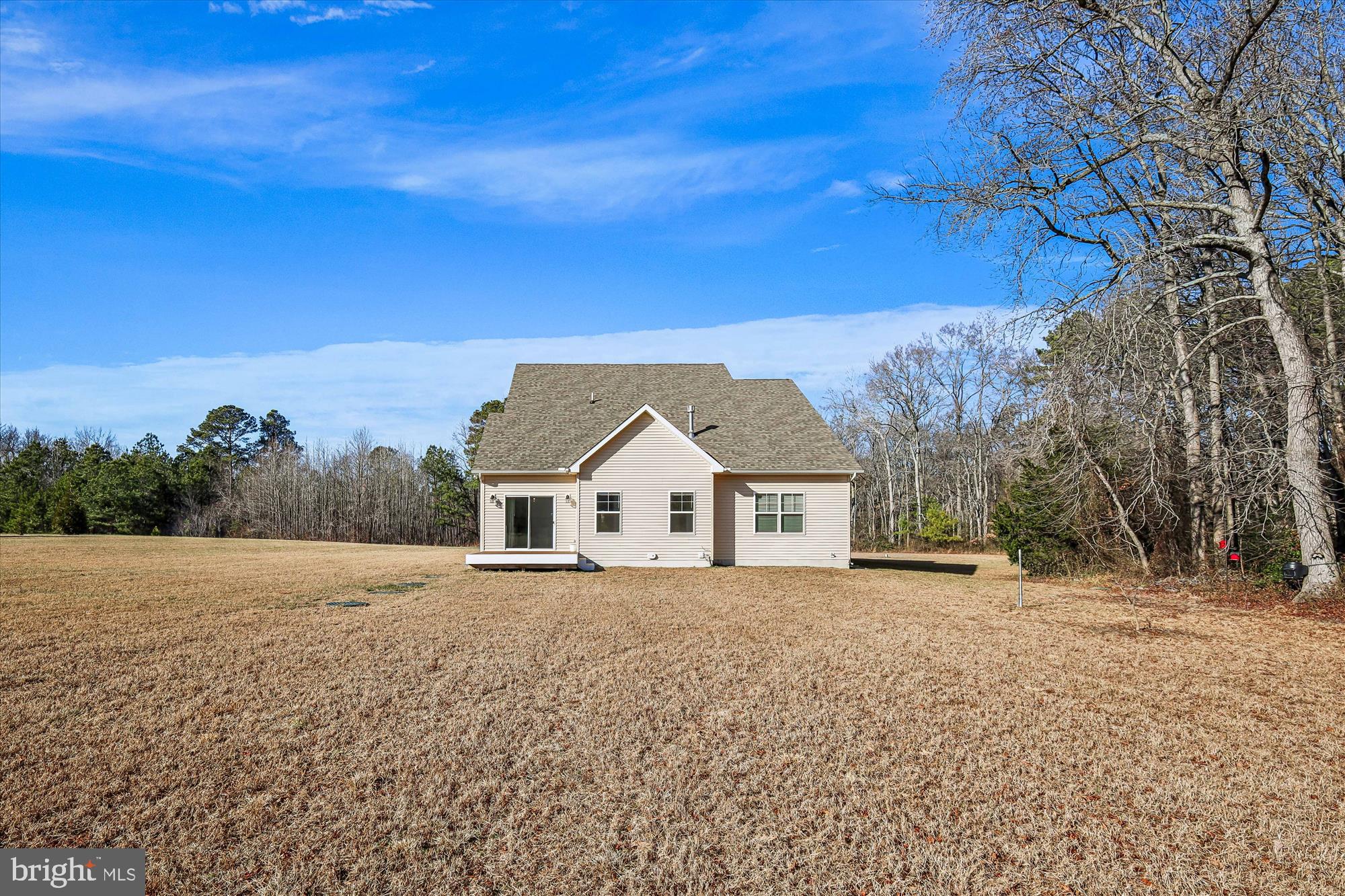 17753 Marvel Road Marydel, MD 21649 - Photo 30 of 65 look at house from the rear of yard