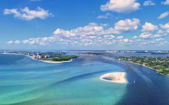 a view of a swimming pool with a yard in the back