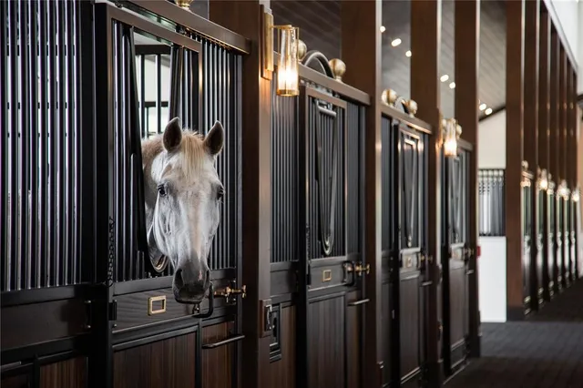 a view of a gallery with wall windows and furniture