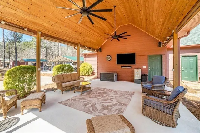 a view of a yard with a plant