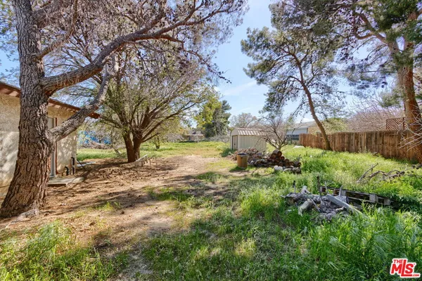 a view of backyard with tree