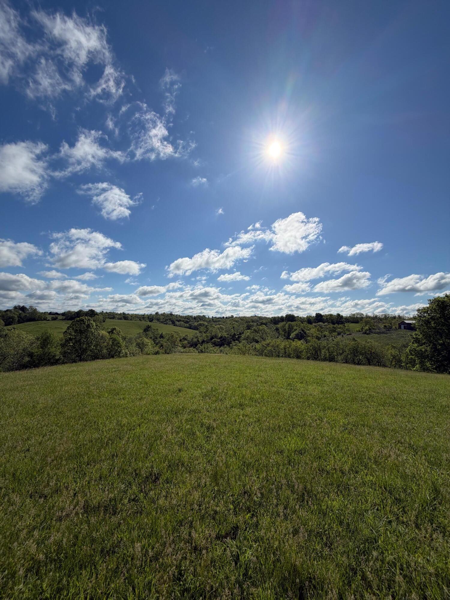 32.28-ac Chipman Ridge Road Williamstown, KY 41097 - Photo 3 of 13