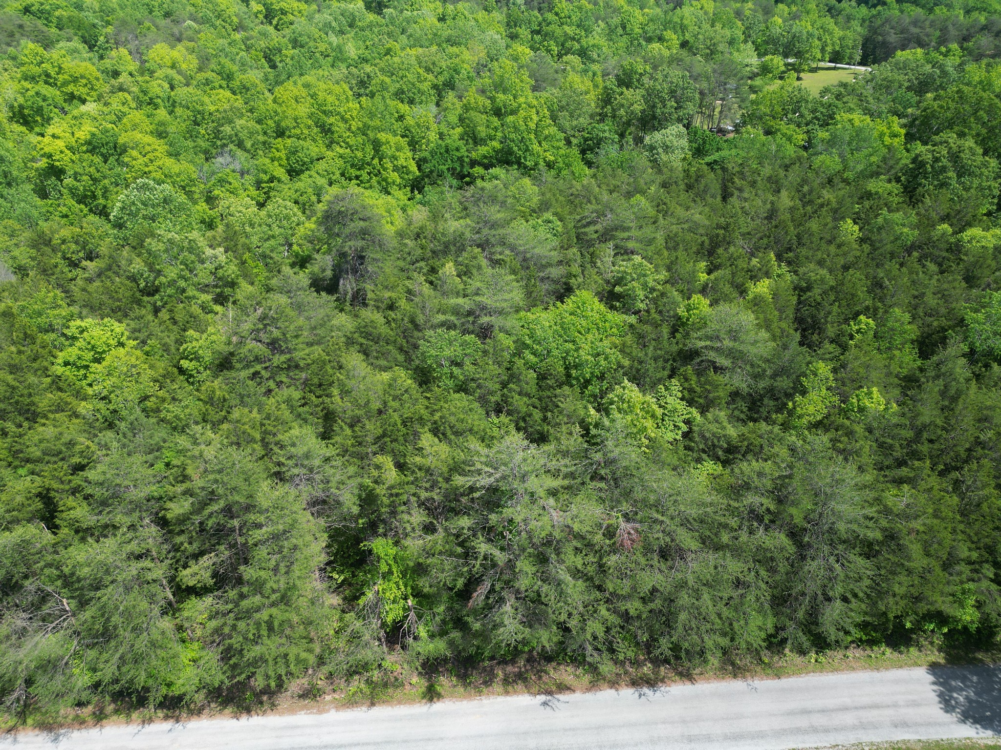 828 McCord Hollow Road Hohenwald, TN 38462 - Photo 30 of 35
