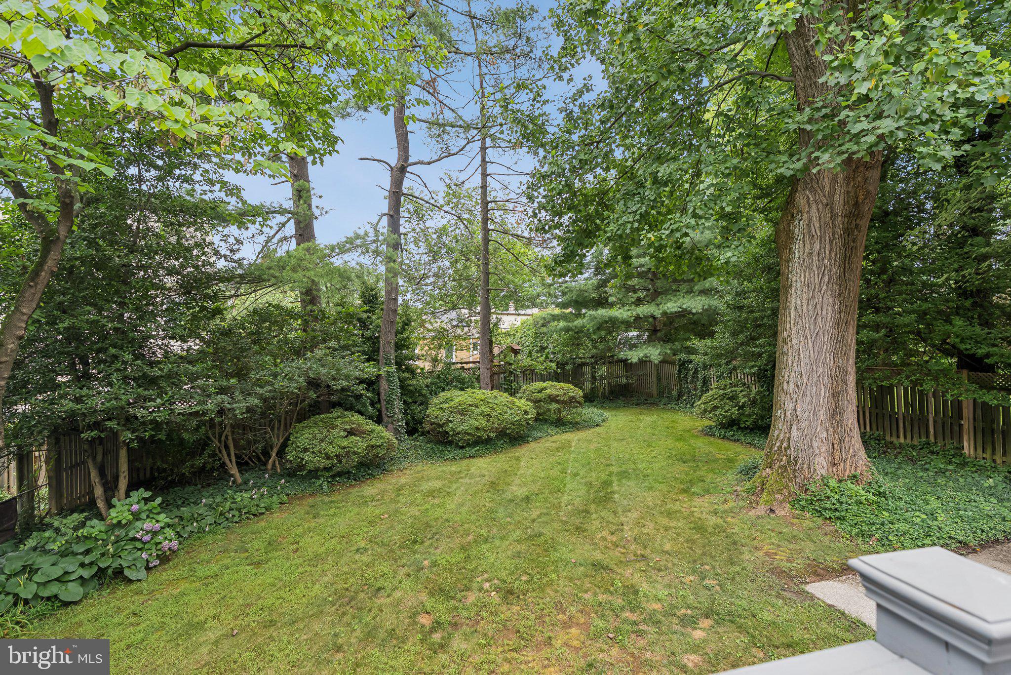 8109 Custer Road Bethesda, MD 20814 - Photo 50 of 54 a view of a garden with a tree