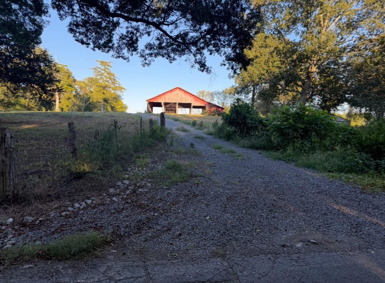 0 Minkslide Road Bell Buckle, TN 37020 - Photo 2 of 6 a view of outdoor space and yard