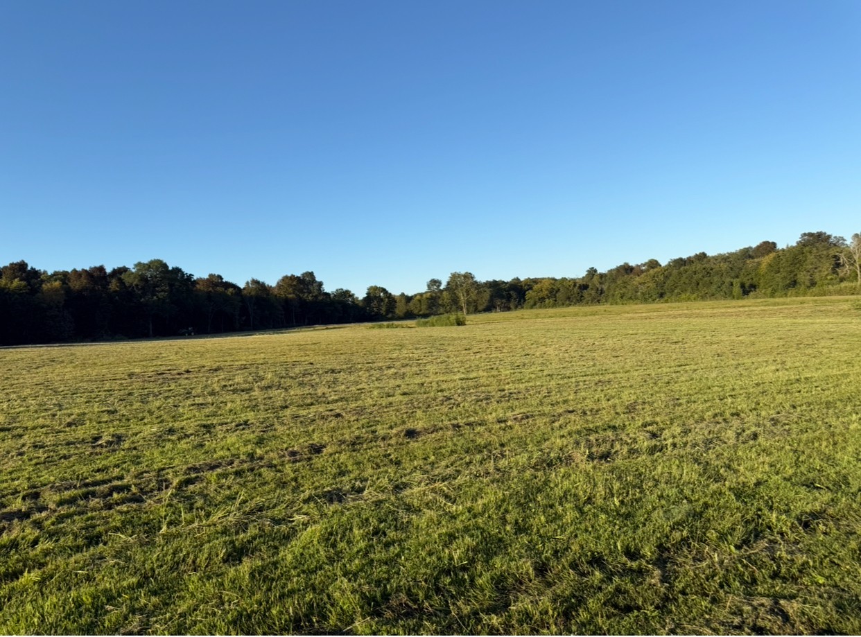 0 Minkslide Road Bell Buckle, TN 37020 - Photo 3 of 6 a view of an ocean and beach