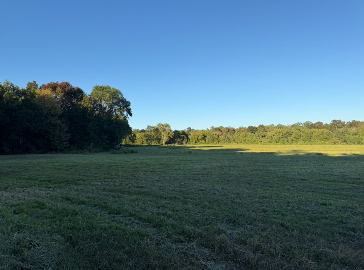 0 Minkslide Road Bell Buckle, TN 37020 - Photo 4 of 6 a view of an ocean and a mountain