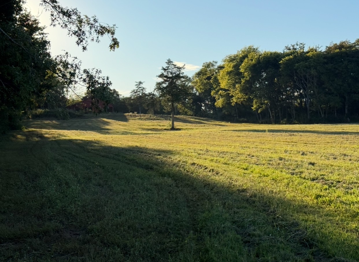 0 Minkslide Road Bell Buckle, TN 37020 - Photo 6 of 6 a view of an ocean view