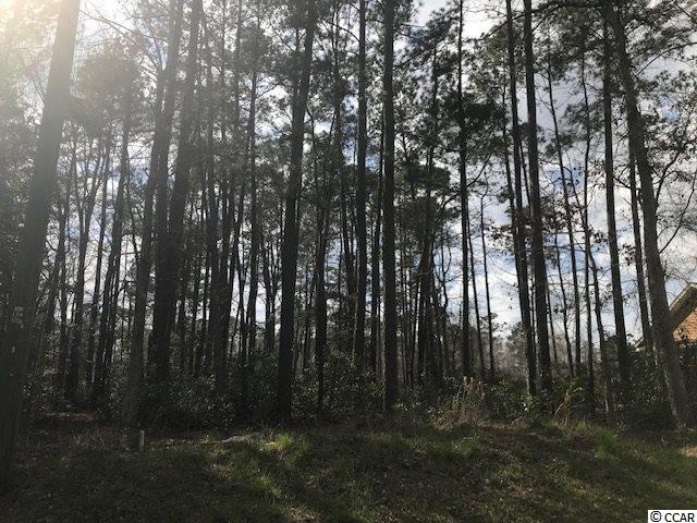 Tbd Caines Landing Road Conway, SC 29526 - Photo 1 of 25 Gallery Image 1