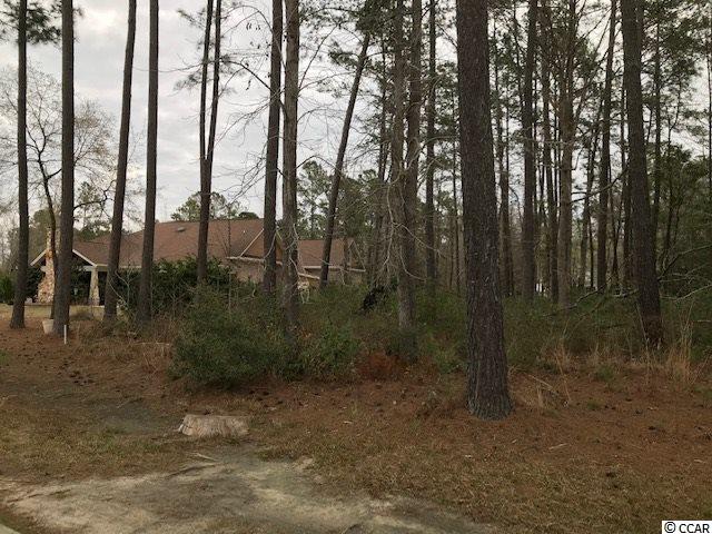 Tbd Caines Landing Road Conway, SC 29526 - Photo 2 of 25 Gallery Image 2
