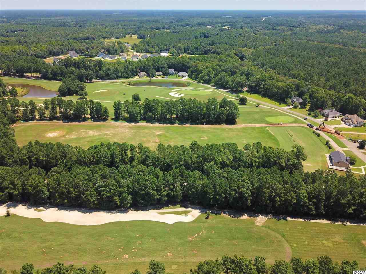 Tbd Caines Landing Road Conway, SC 29526 - Photo 11 of 25 Gallery Image 11
