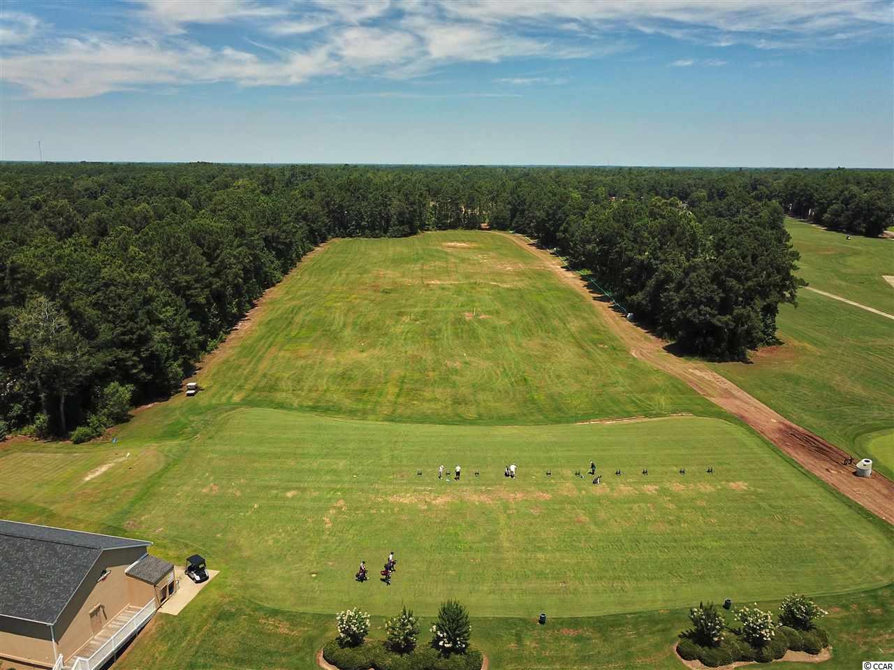 Tbd Caines Landing Road Conway, SC 29526 - Photo 14 of 25 Gallery Image 14
