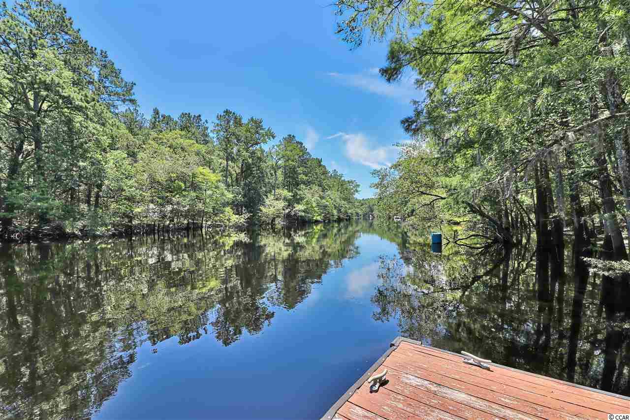 Tbd Caines Landing Road Conway, SC 29526 - Photo 18 of 25 Gallery Image 18