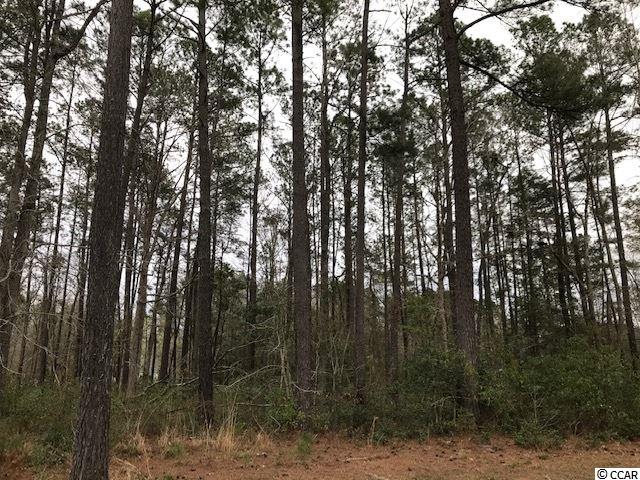 Tbd Caines Landing Road Conway, SC 29526 - Photo 3 of 25 Gallery Image 3