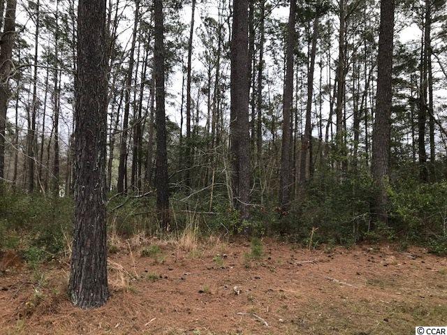 Tbd Caines Landing Road Conway, SC 29526 - Photo 4 of 25 Gallery Image 4