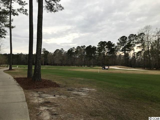 Tbd Caines Landing Road Conway, SC 29526 - Photo 5 of 25 Gallery Image 5