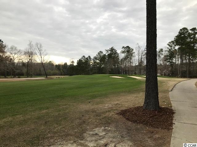 Tbd Caines Landing Road Conway, SC 29526 - Photo 6 of 25 Gallery Image 6