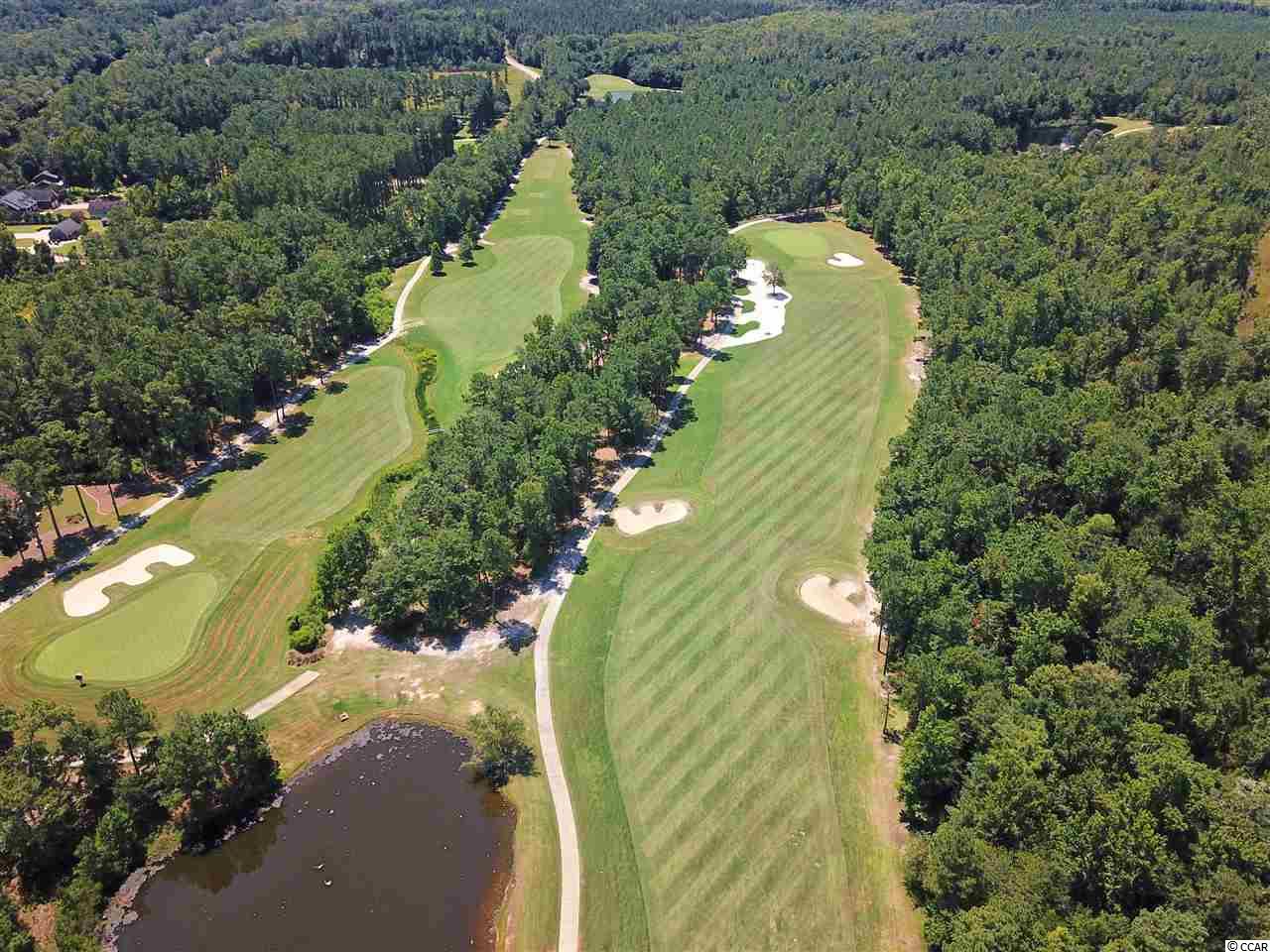 Tbd Caines Landing Road Conway, SC 29526 - Photo 8 of 25 Gallery Image 8