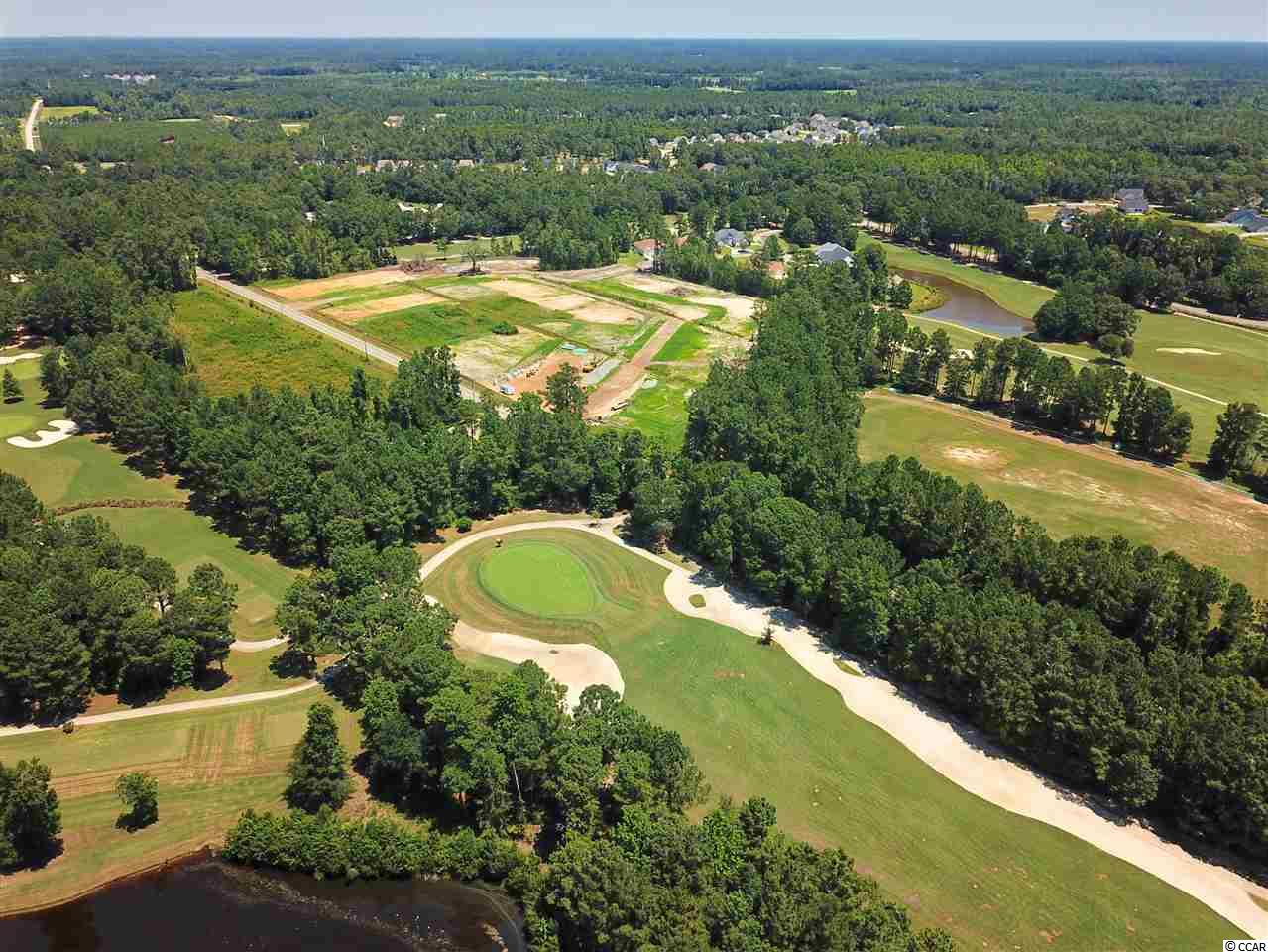 Tbd Caines Landing Road Conway, SC 29526 - Photo 10 of 25 Gallery Image 10