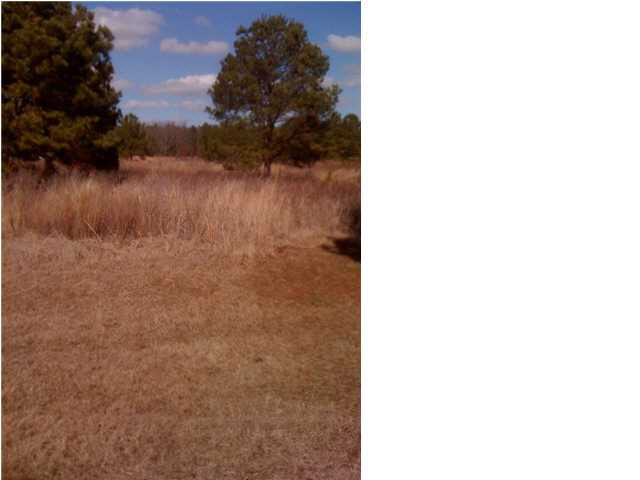 0 Rocking Chair Road Canton, MS 39046 - Photo 1 of 1 Photo 1