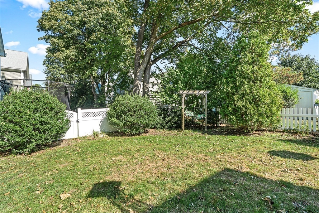 77 Warren Street, Unit A Arlington, MA 02474 - Photo 32 of 34 a view of a yard with plants and trees