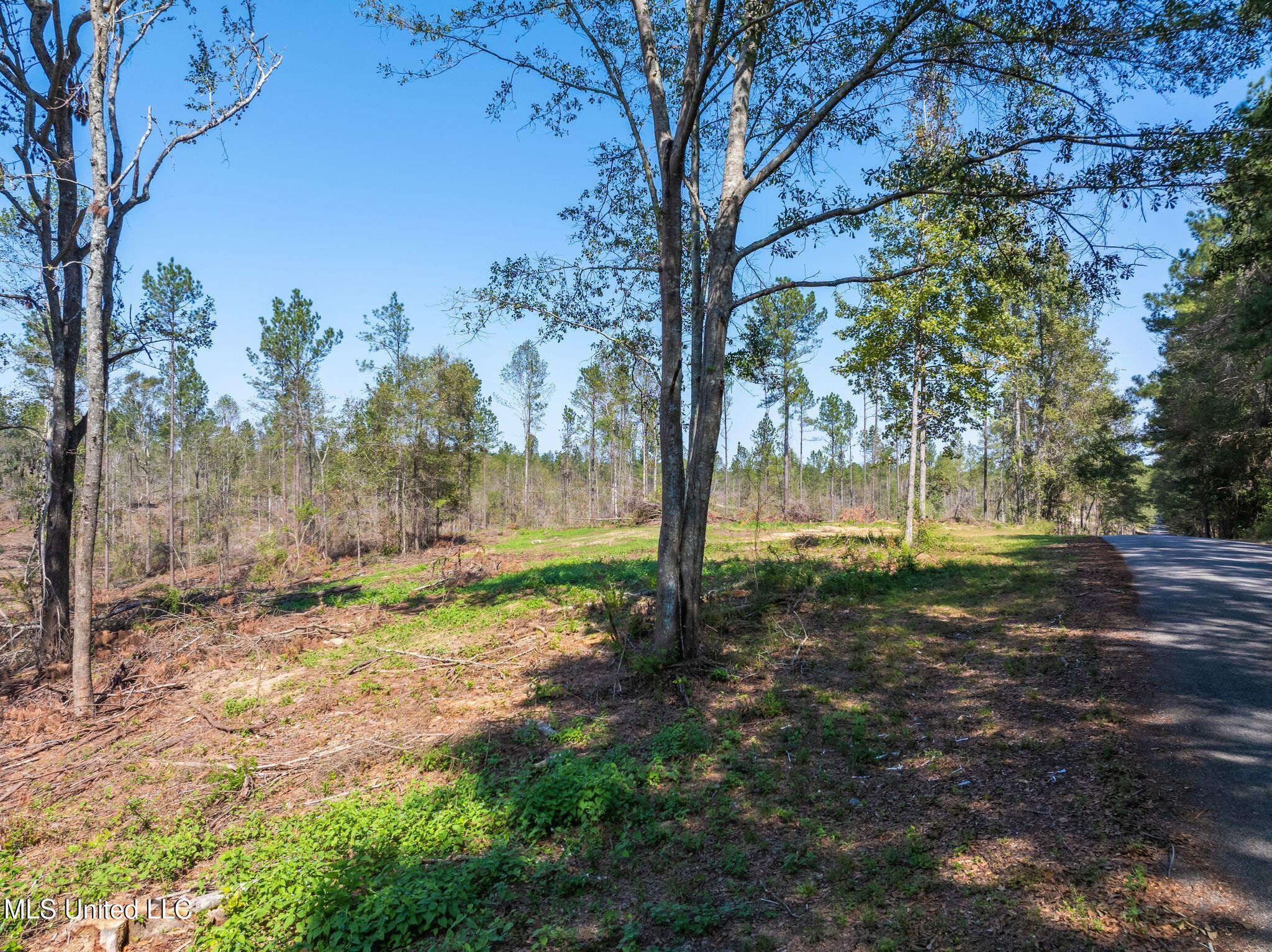 6.74 Noel Townsend Road Seminary, MS 39479 - Photo 3 of 6 Shirley_Sanford_Rd_6_74_AC-3