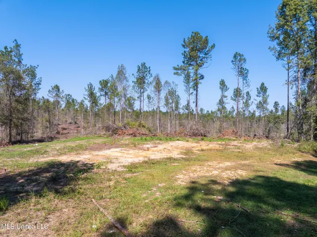 $47,500 | 6.74 Noel Townsend Road, Seminary, MS 39479