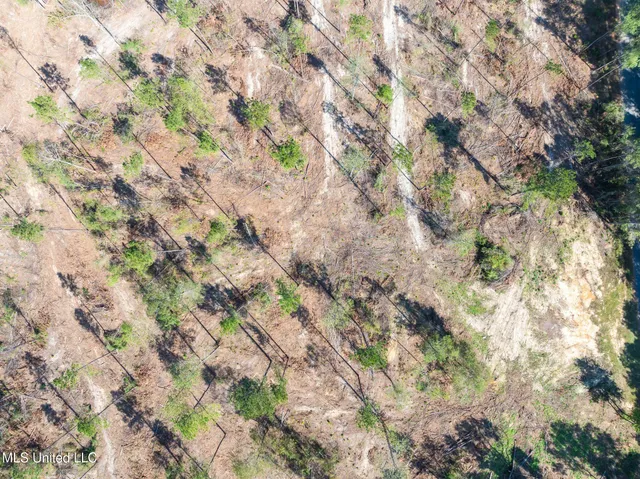 $47,500 | 6.74 Noel Townsend Road, Seminary, MS 39479