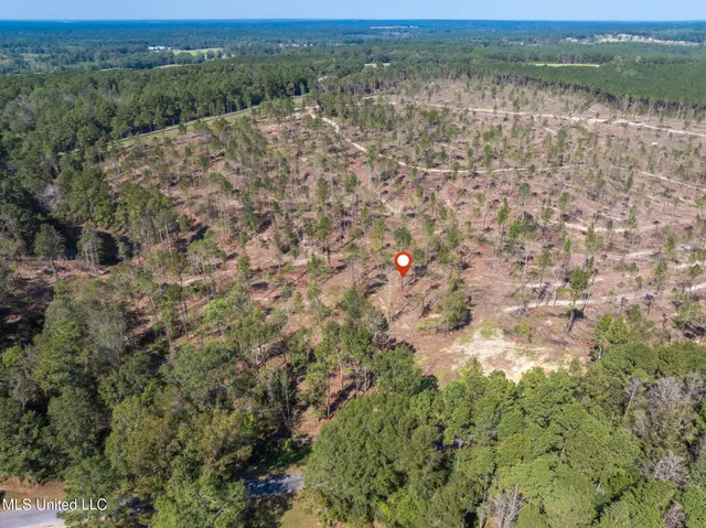 $47,500 | 6.74 Noel Townsend Road, Seminary, MS 39479