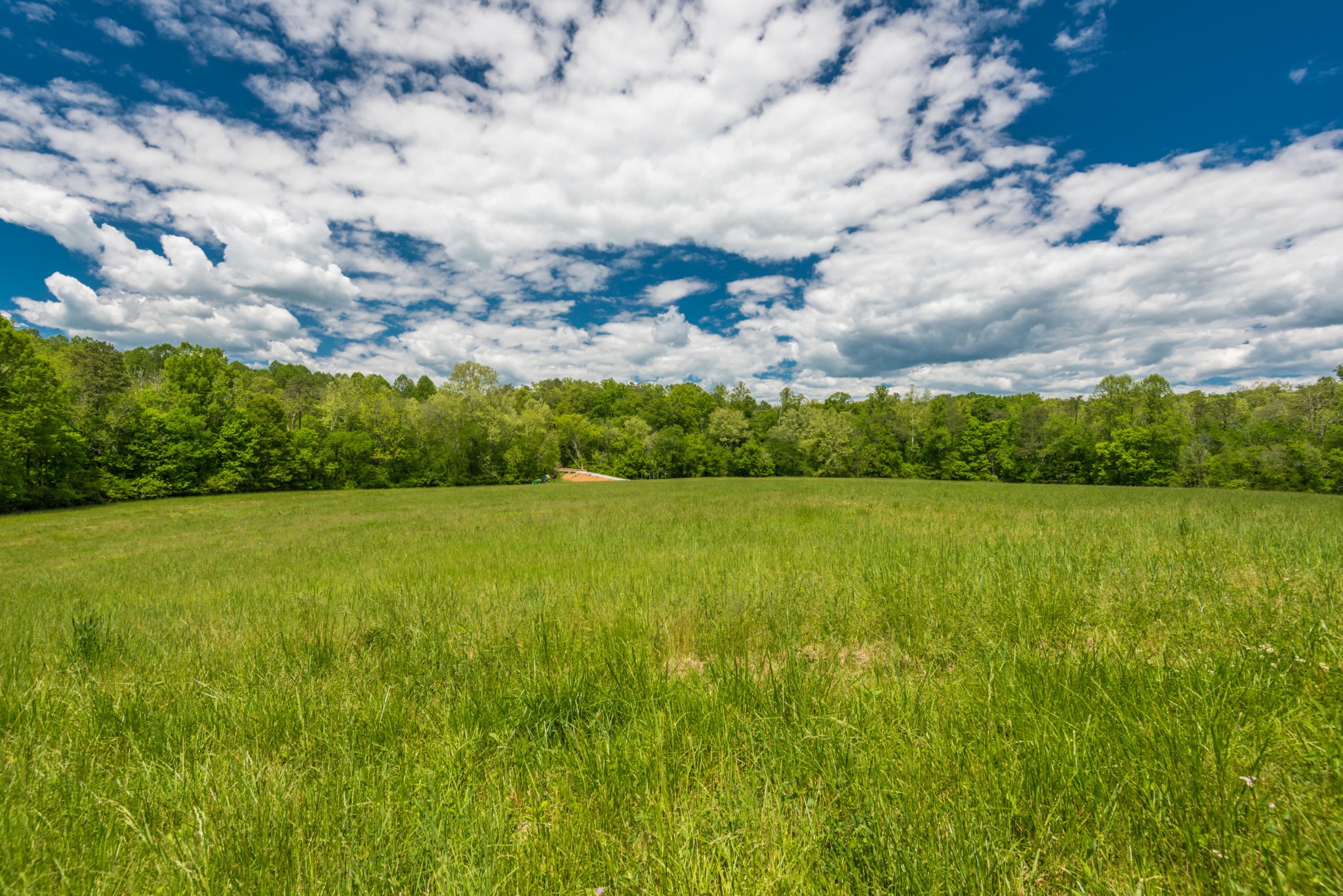 3311 Guinn Road Knoxville, TN 37932 - Photo 11 of 25 a view of lake with green space