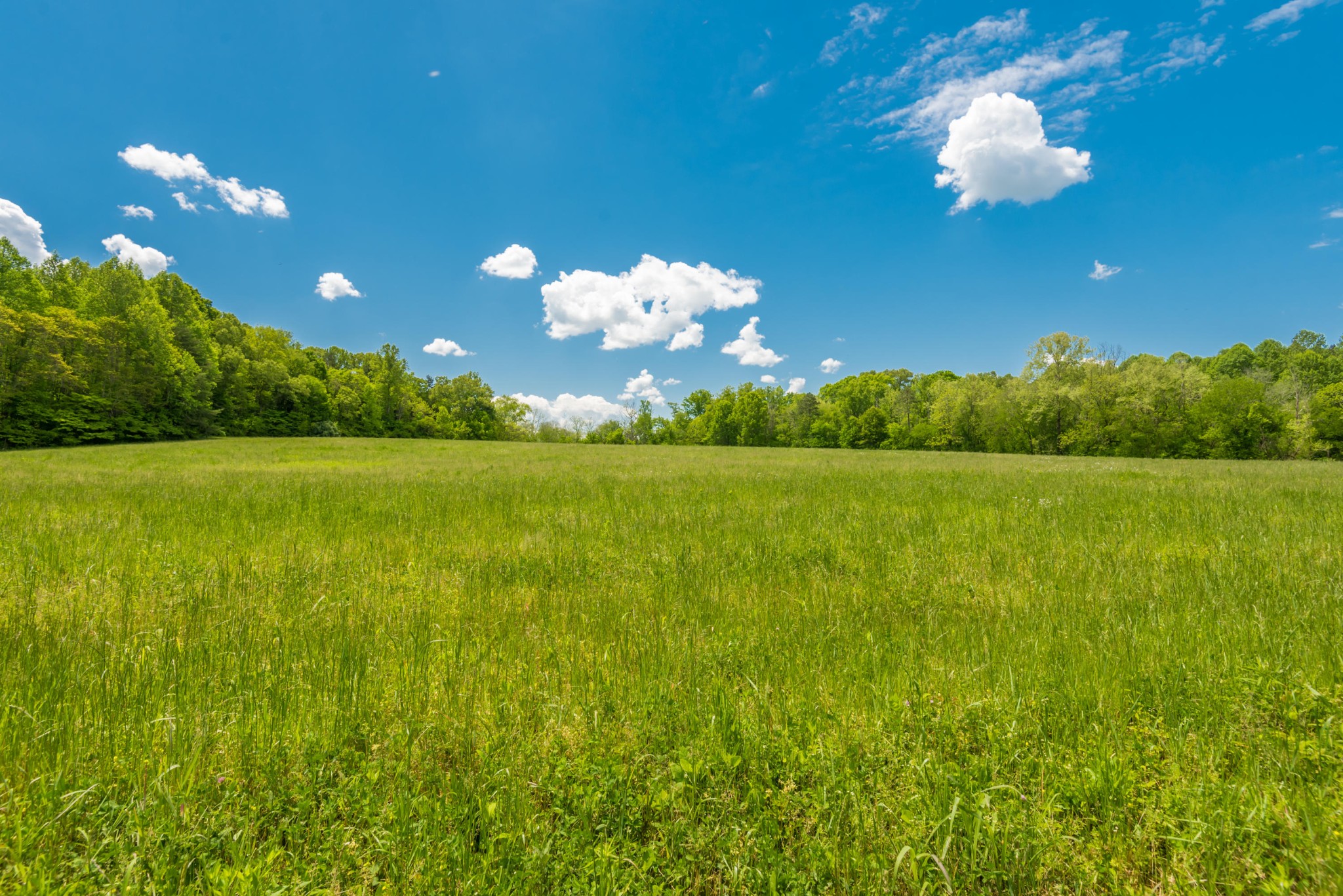 3311 Guinn Road Knoxville, TN 37932 - Photo 12 of 25 a view of a golf course with a lake