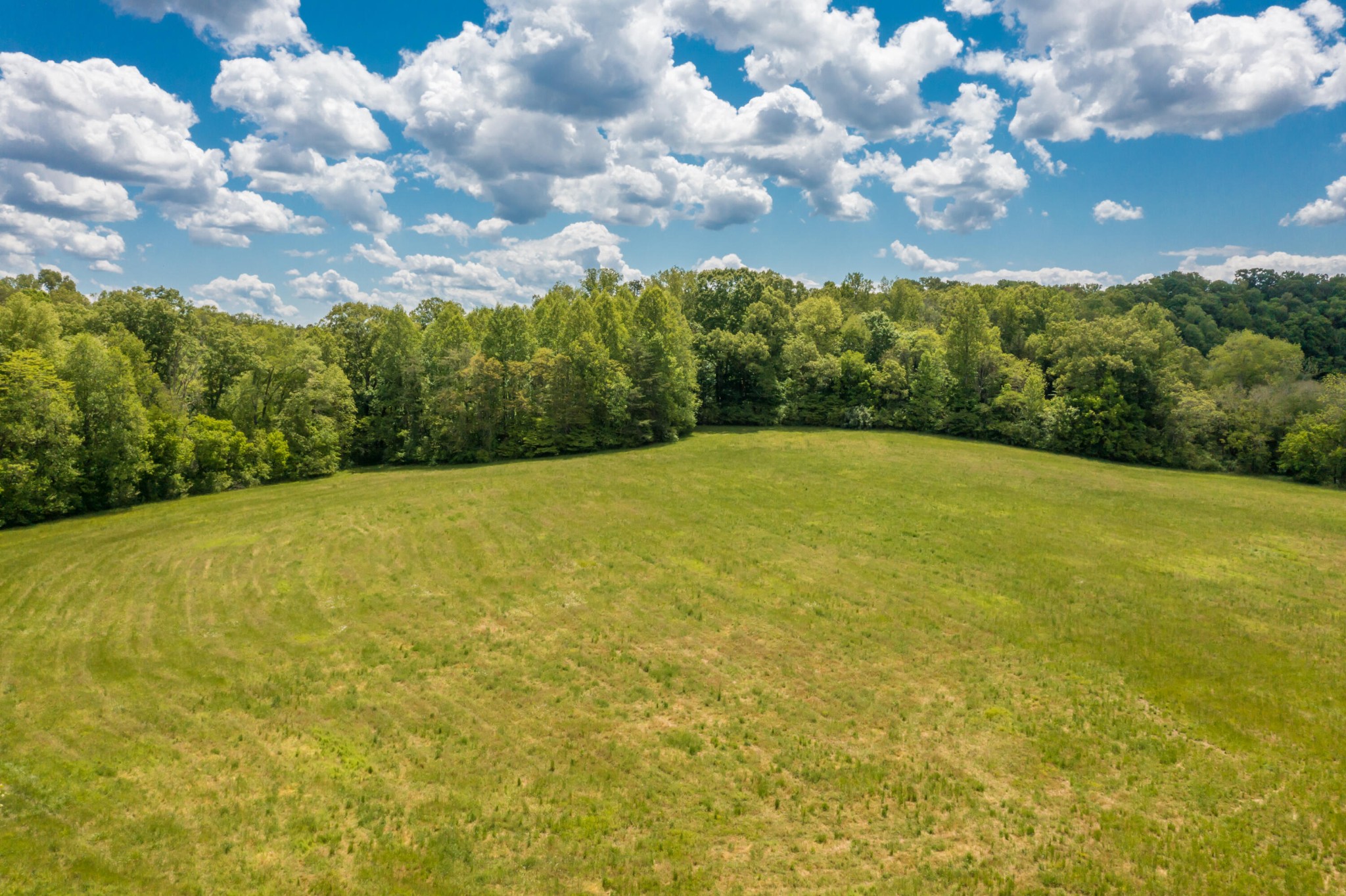 3311 Guinn Road Knoxville, TN 37932 - Photo 13 of 25 a view of a field with an trees