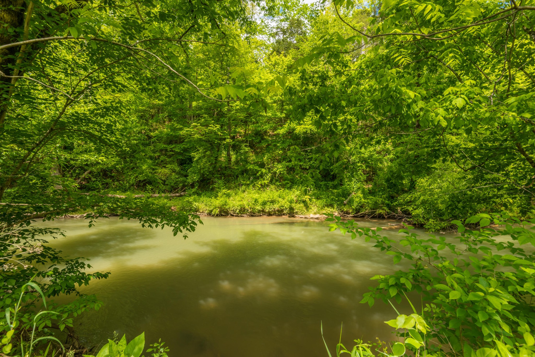 3311 Guinn Road Knoxville, TN 37932 - Photo 17 of 25 a view of a lake view