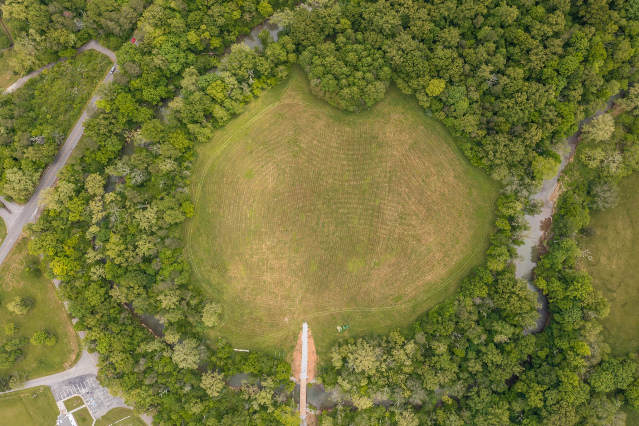 3311 Guinn Road Knoxville, TN 37932 - Photo 23 of 25 a close up of a trees in a garden