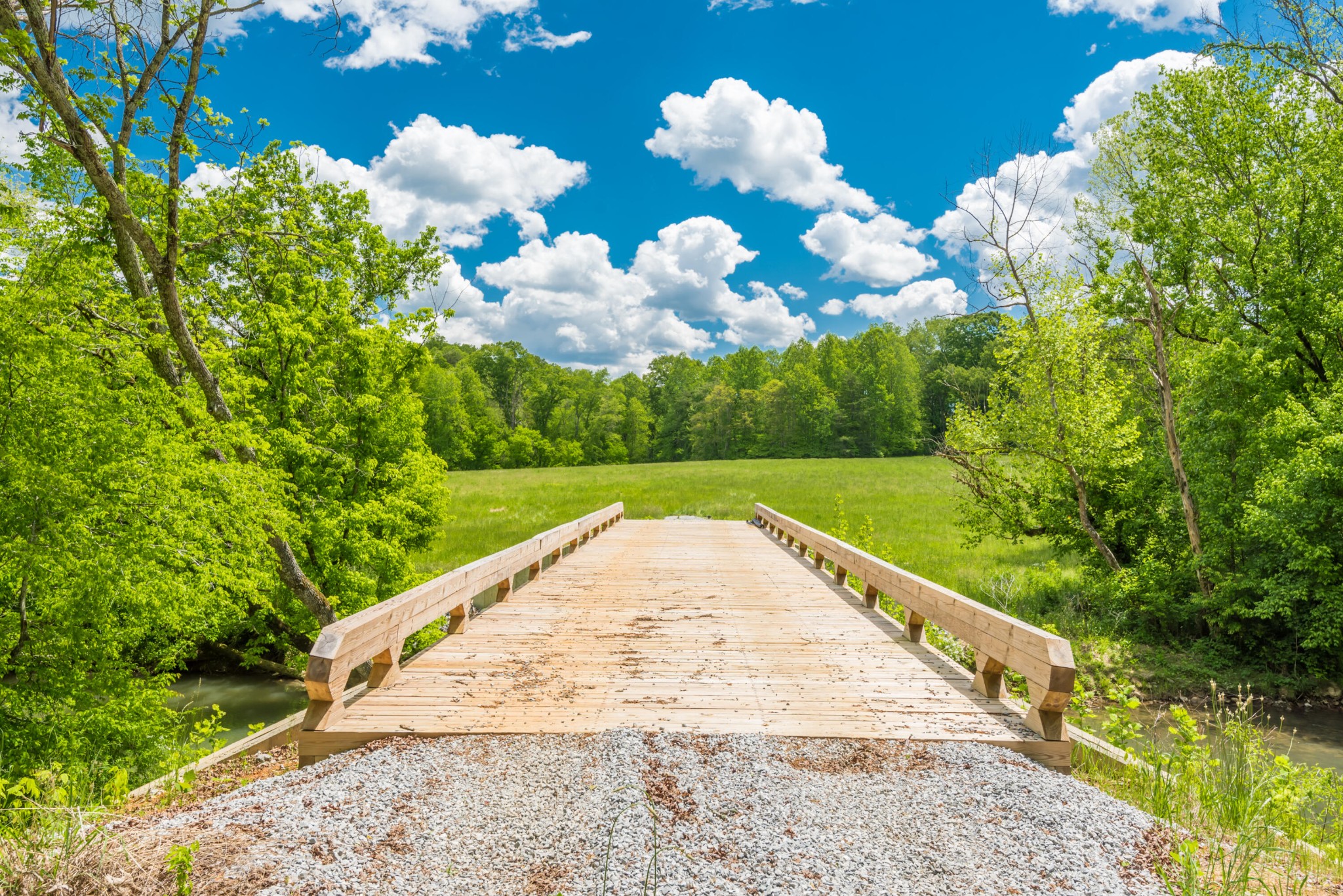 3311 Guinn Road Knoxville, TN 37932 - Photo 6 of 25 a view of a backyard of the house