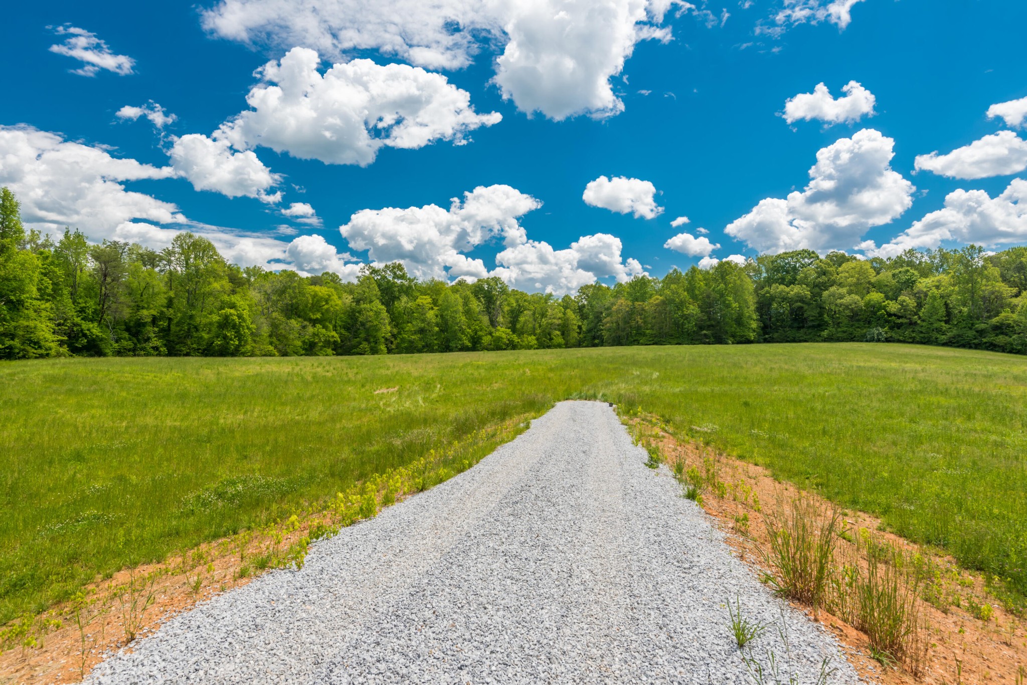 3311 Guinn Road Knoxville, TN 37932 - Photo 9 of 25 a view of a house with a big yard