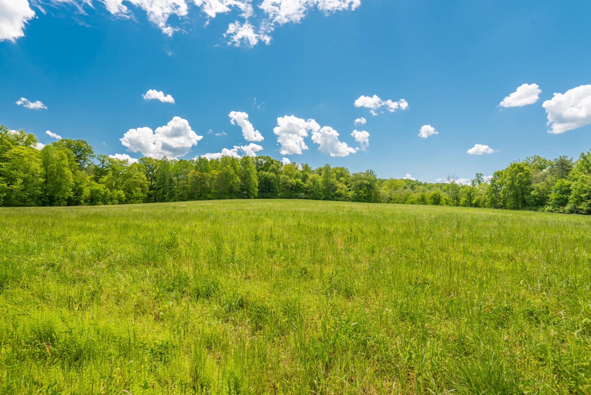 3311 Guinn Road Knoxville, TN 37932 - Photo 10 of 25 a view of a golf course with a swimming pool