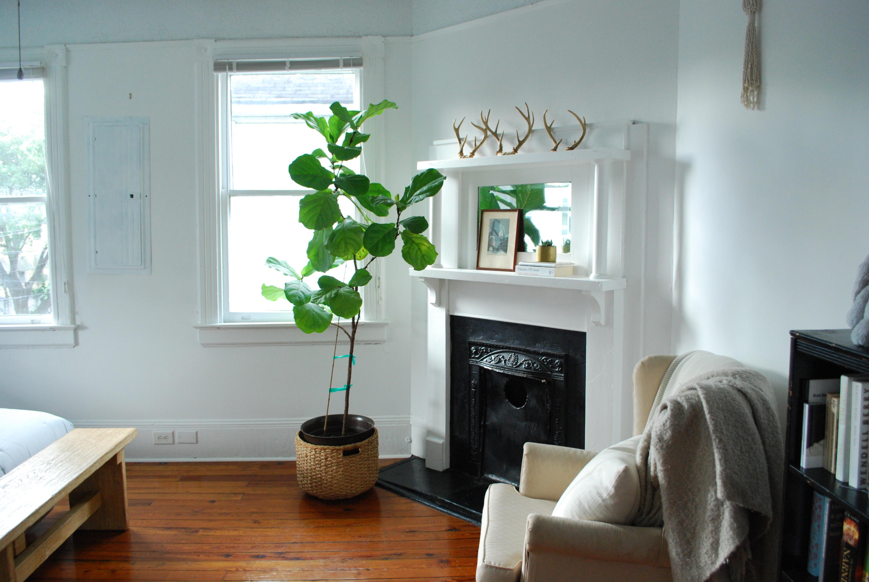 13 Perry Street Charleston, SC 29403 - Photo 63 of 71 DSC_0226